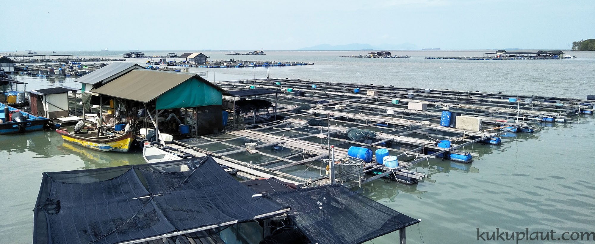 Floating Fish Farms